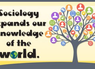 Học sinh khối D nên chọn ngành gì khi du học Hà Lan?