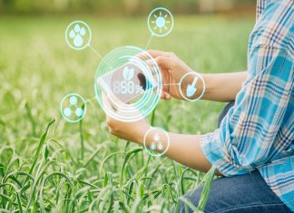 Du học Hà Lan: Lựa chọn ngành học nào cho học sinh khối B?