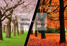 Các kỳ nhập học và thời điểm làm hồ sơ du học Hà Lan